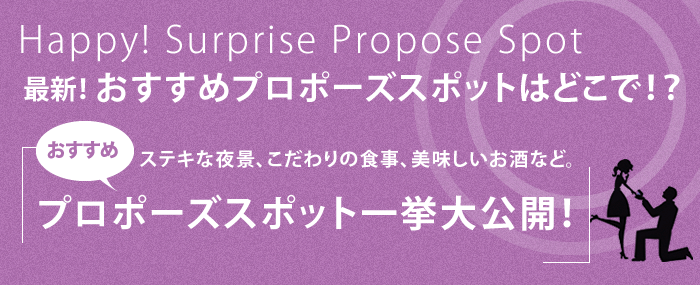 大阪サプライズプロポーズ2014オススメスポット企画